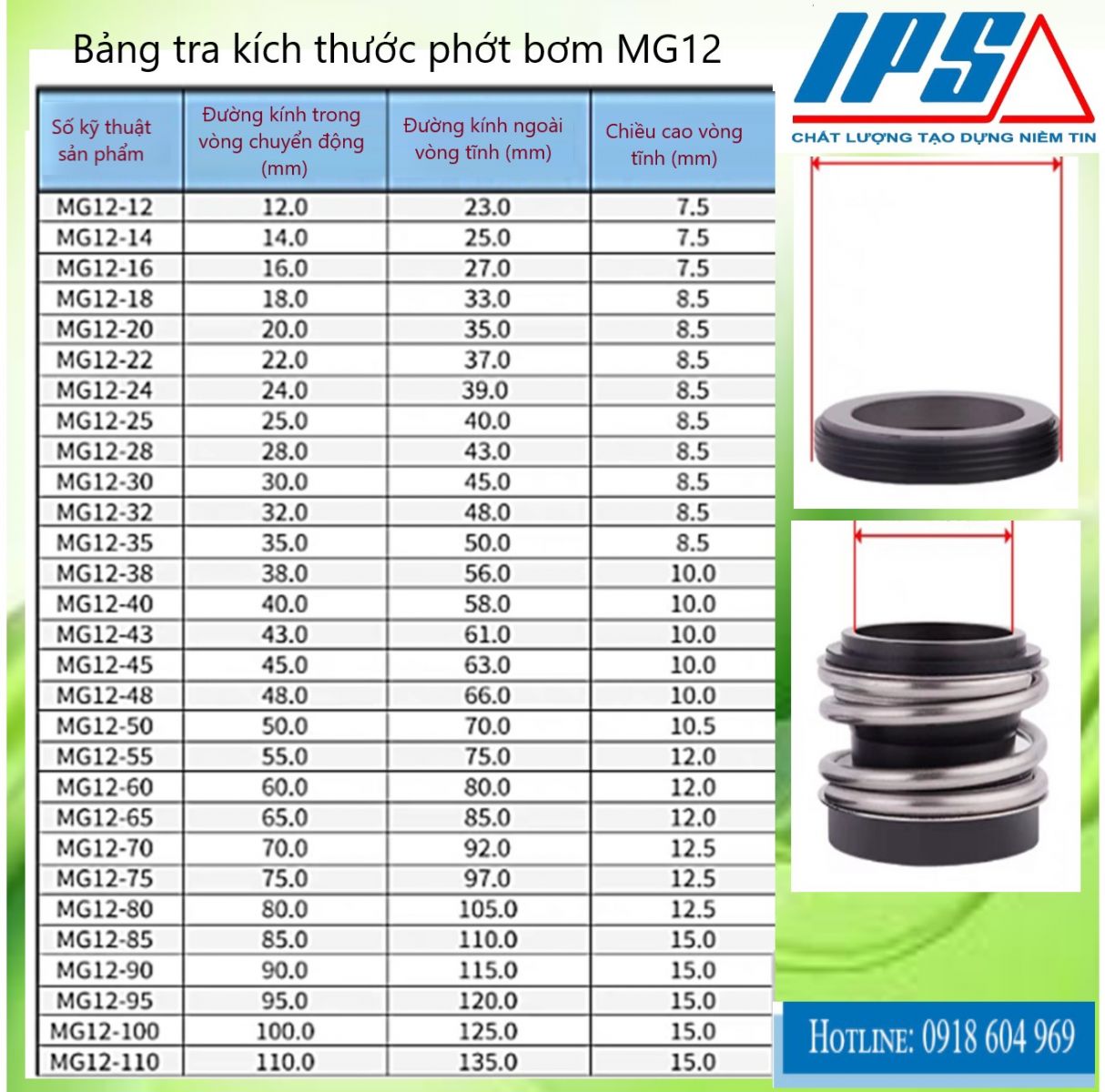 MG12 - 4(1).